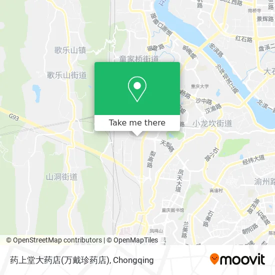 药上堂大药店(万戴珍药店) map