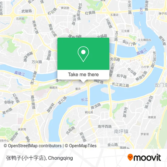 张鸭子(小十字店) map
