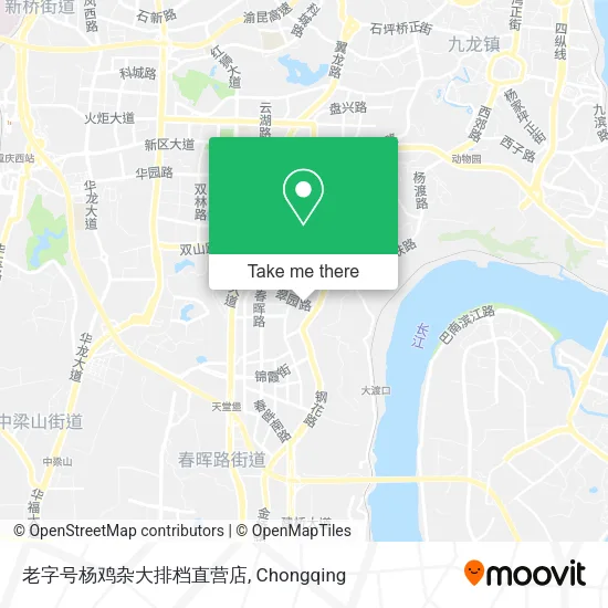老字号杨鸡杂大排档直营店 map
