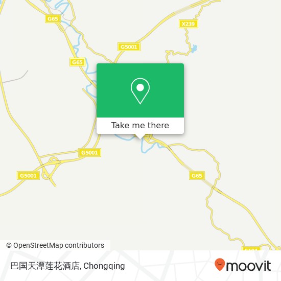 巴国天潭莲花酒店 map
