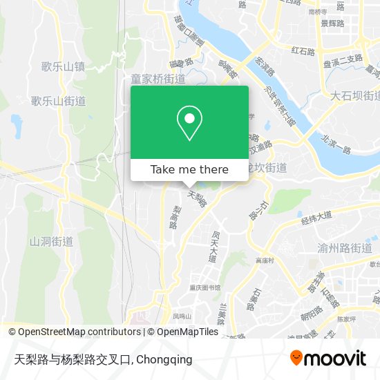 天梨路与杨梨路交叉口 map
