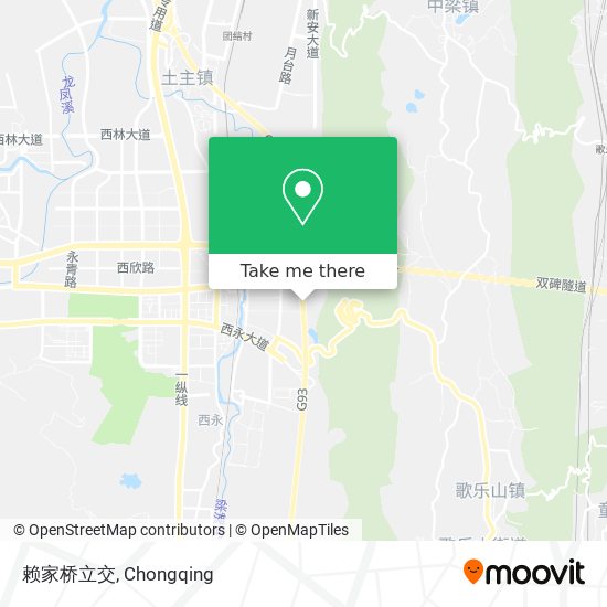 赖家桥立交 map