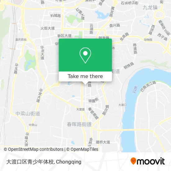 大渡口区青少年体校 map