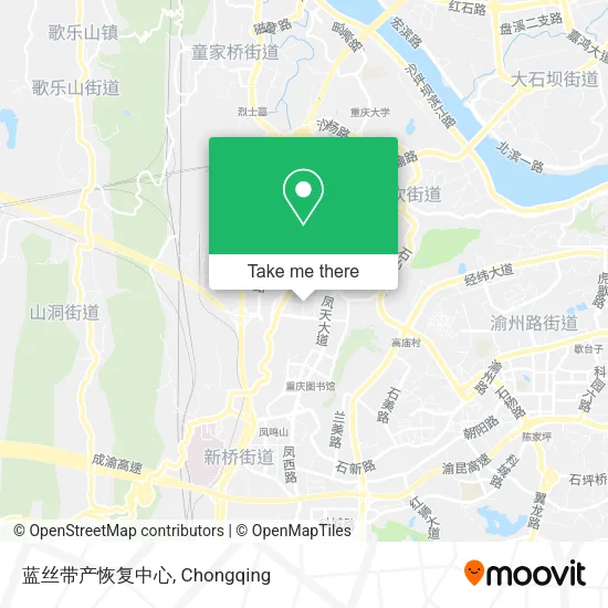 蓝丝带产恢复中心 map