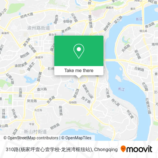 310路(杨家坪壹心壹学校-龙洲湾枢纽站) map