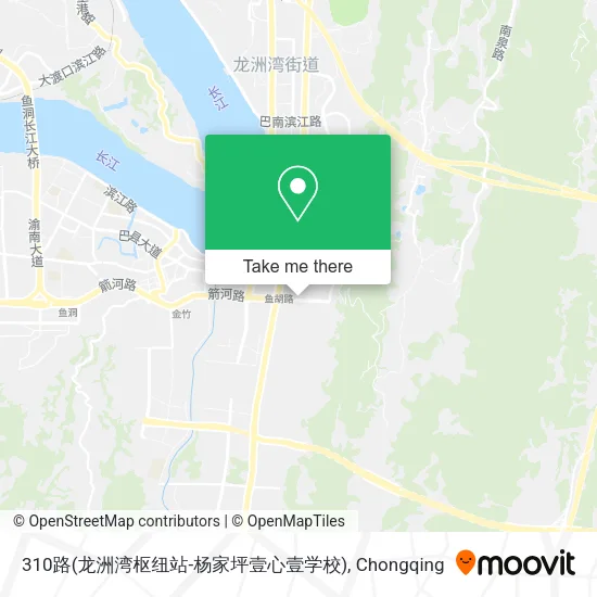 310路(龙洲湾枢纽站-杨家坪壹心壹学校) map