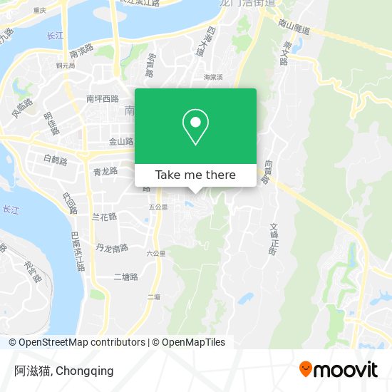 阿滋猫 map