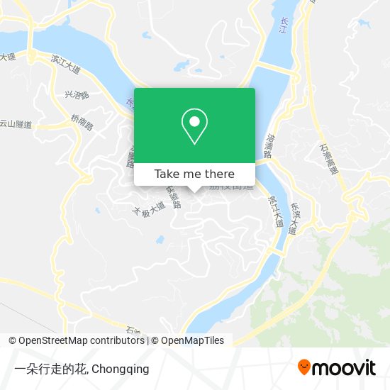 一朵行走的花 map