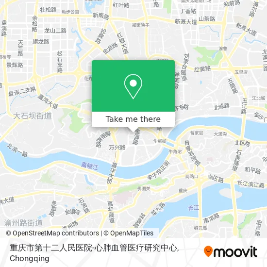 重庆市第十二人民医院-心肺血管医疗研究中心 map
