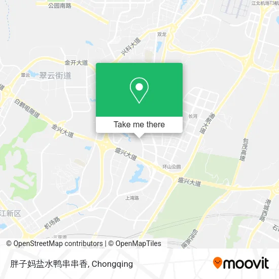 胖子妈盐水鸭串串香 map