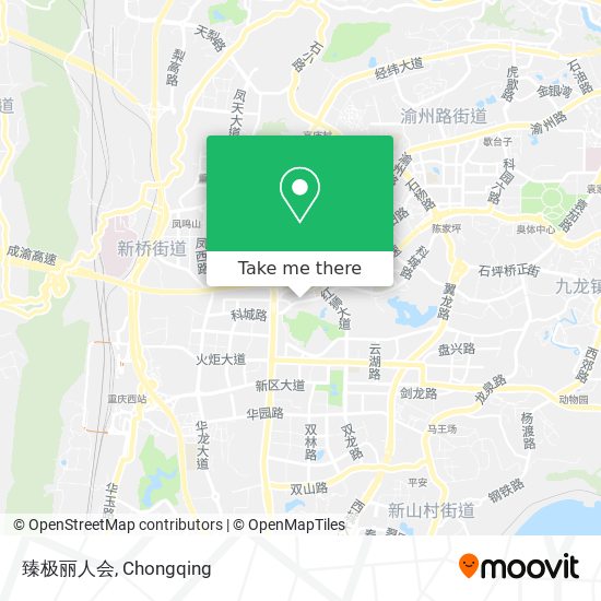 臻极丽人会 map