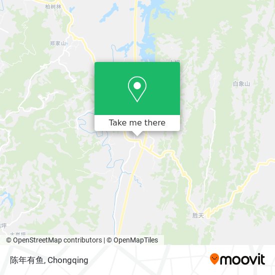 陈年有鱼 map