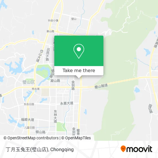 丁月玉兔王(璧山店) map