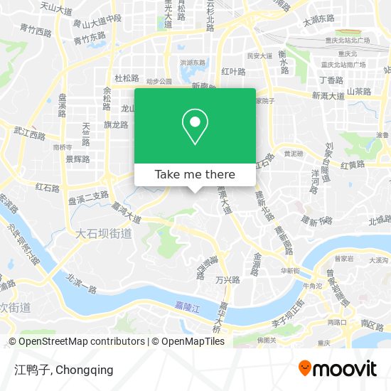 江鸭子 map