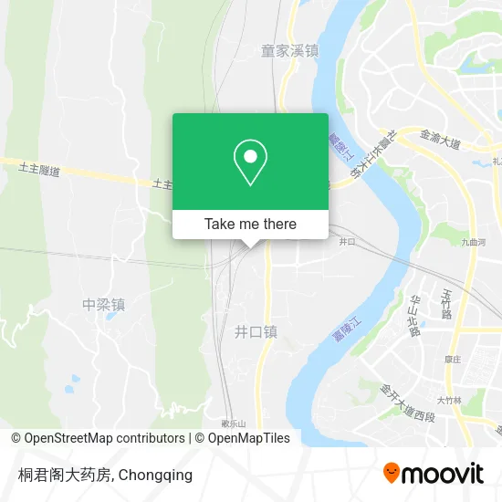 桐君阁大药房 map