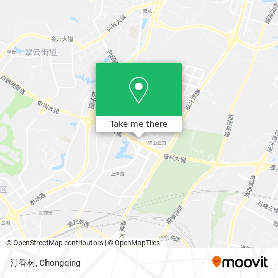 汀香树 map
