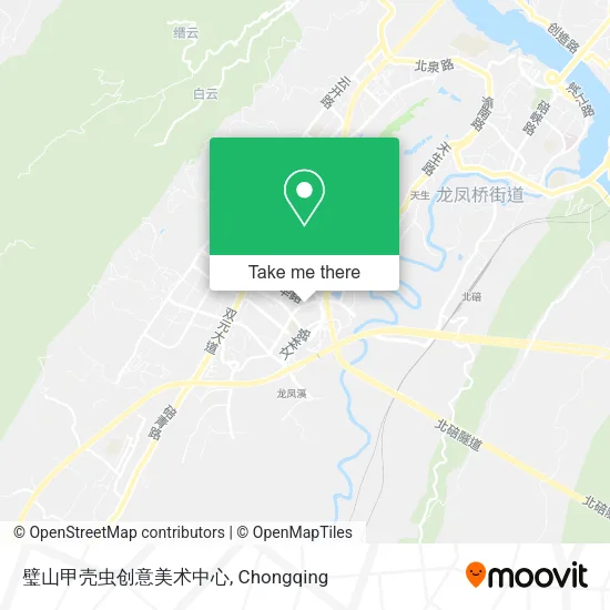 璧山甲壳虫创意美术中心 map