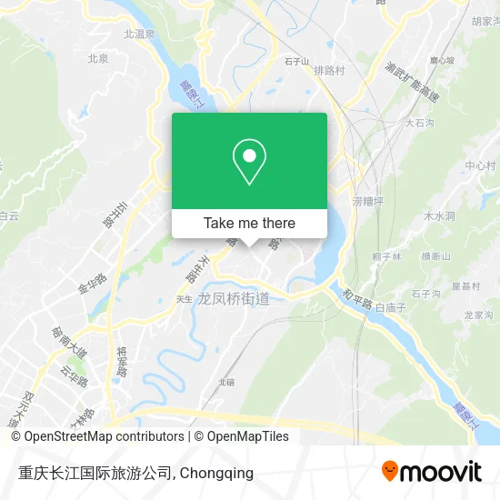重庆长江国际旅游公司 map