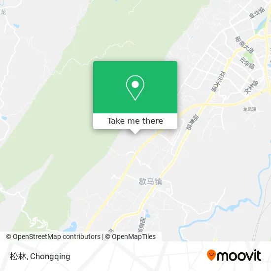 松林 map