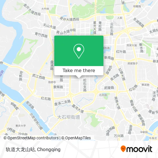 轨道大龙山站 map