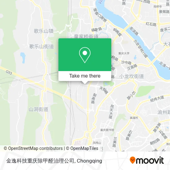 金逸科技重庆除甲醛治理公司 map