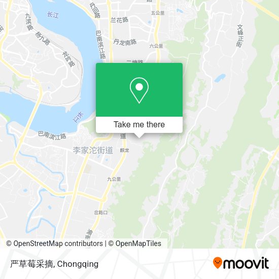 严草莓采摘 map