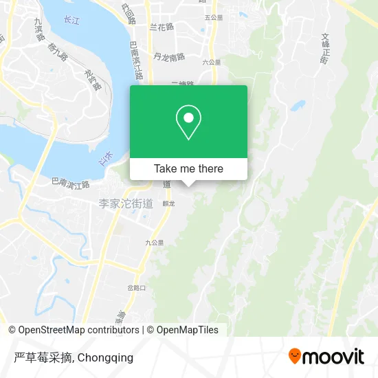 严草莓采摘 map