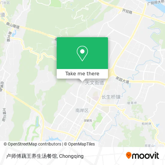 卢师傅藕王养生汤餐馆 map