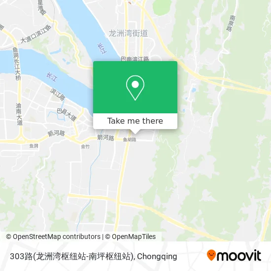 303路(龙洲湾枢纽站-南坪枢纽站) map