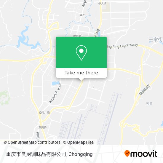 重庆市良厨调味品有限公司 map