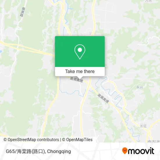 G65/海棠路(路口) map