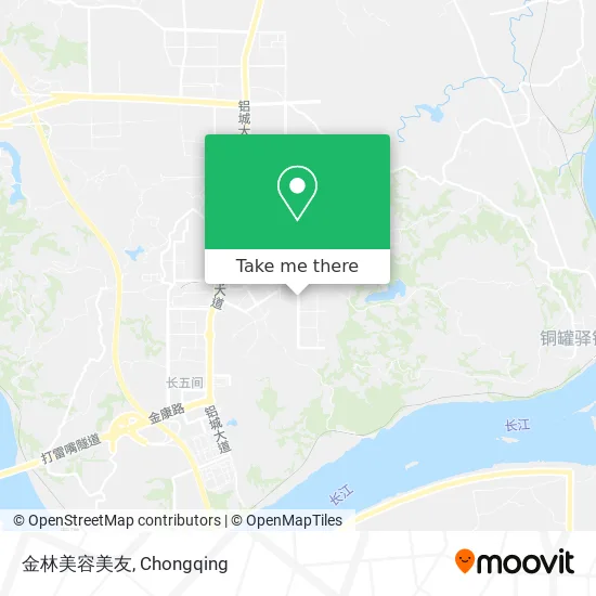 金林美容美友 map