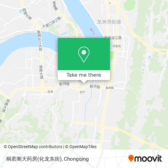 桐君阁大药房(化龙东街) map
