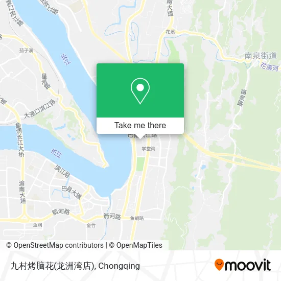 九村烤脑花(龙洲湾店) map