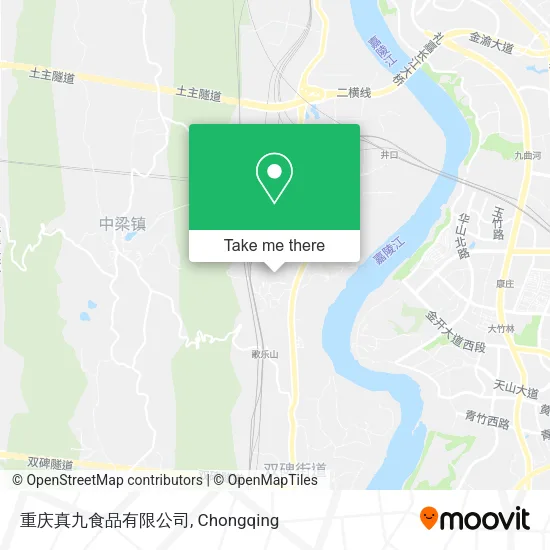 重庆真九食品有限公司 map
