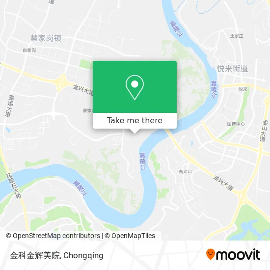 金科金辉美院 map