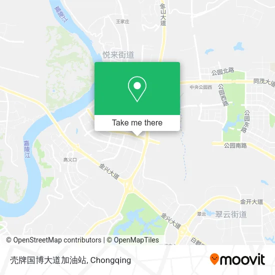 壳牌国博大道加油站 map
