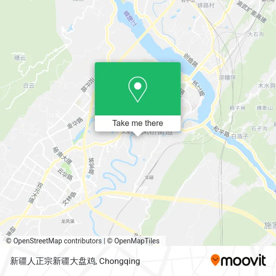新疆人正宗新疆大盘鸡 map