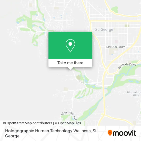 Hologographic Human Technology Wellness map