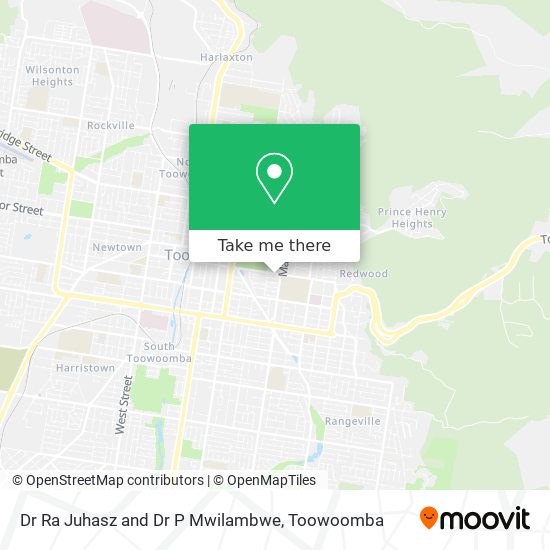 Dr Ra Juhasz and Dr P Mwilambwe map