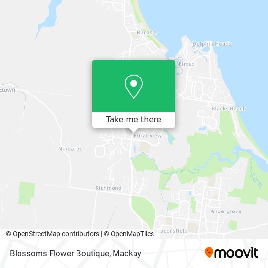 Blossoms Flower Boutique map