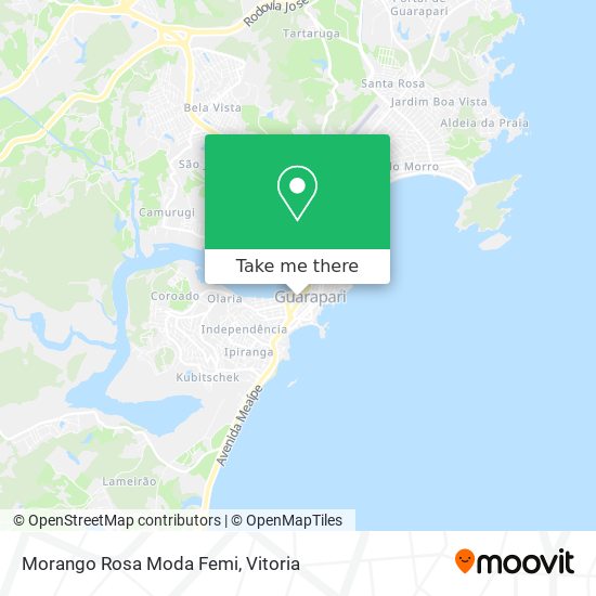 Morango Rosa Moda Femi map