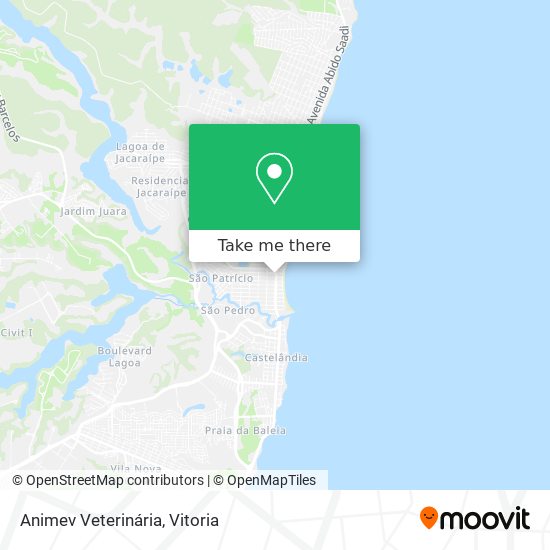 Animev Veterinária map