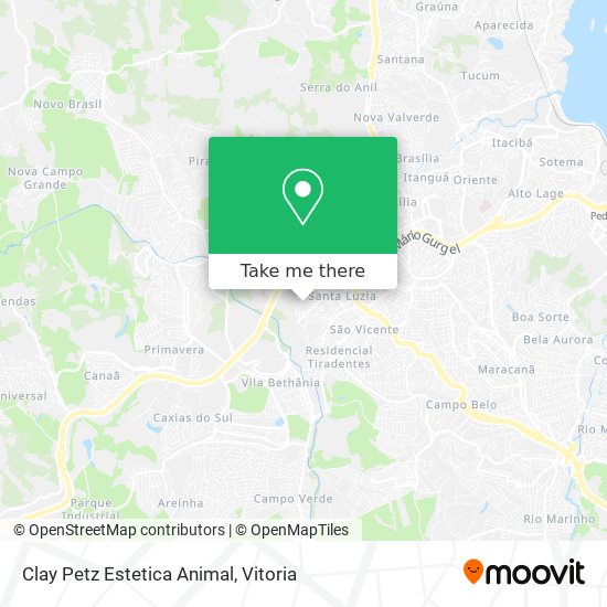 Clay Petz Estetica Animal map