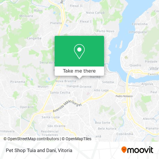 Mapa Pet Shop Tuia and Dani