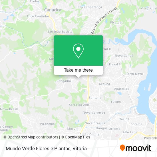 Mundo Verde Flores e Plantas map