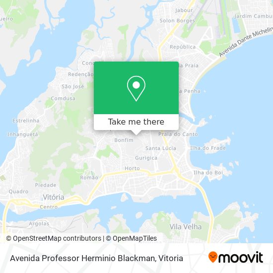 Mapa Avenida Professor Herminio Blackman