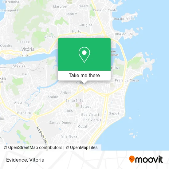 Evidence map