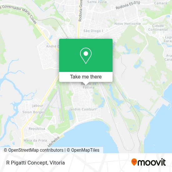 R Pigatti Concept map