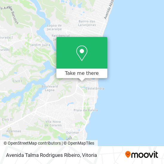 Avenida Talma Rodrigues Ribeiro map